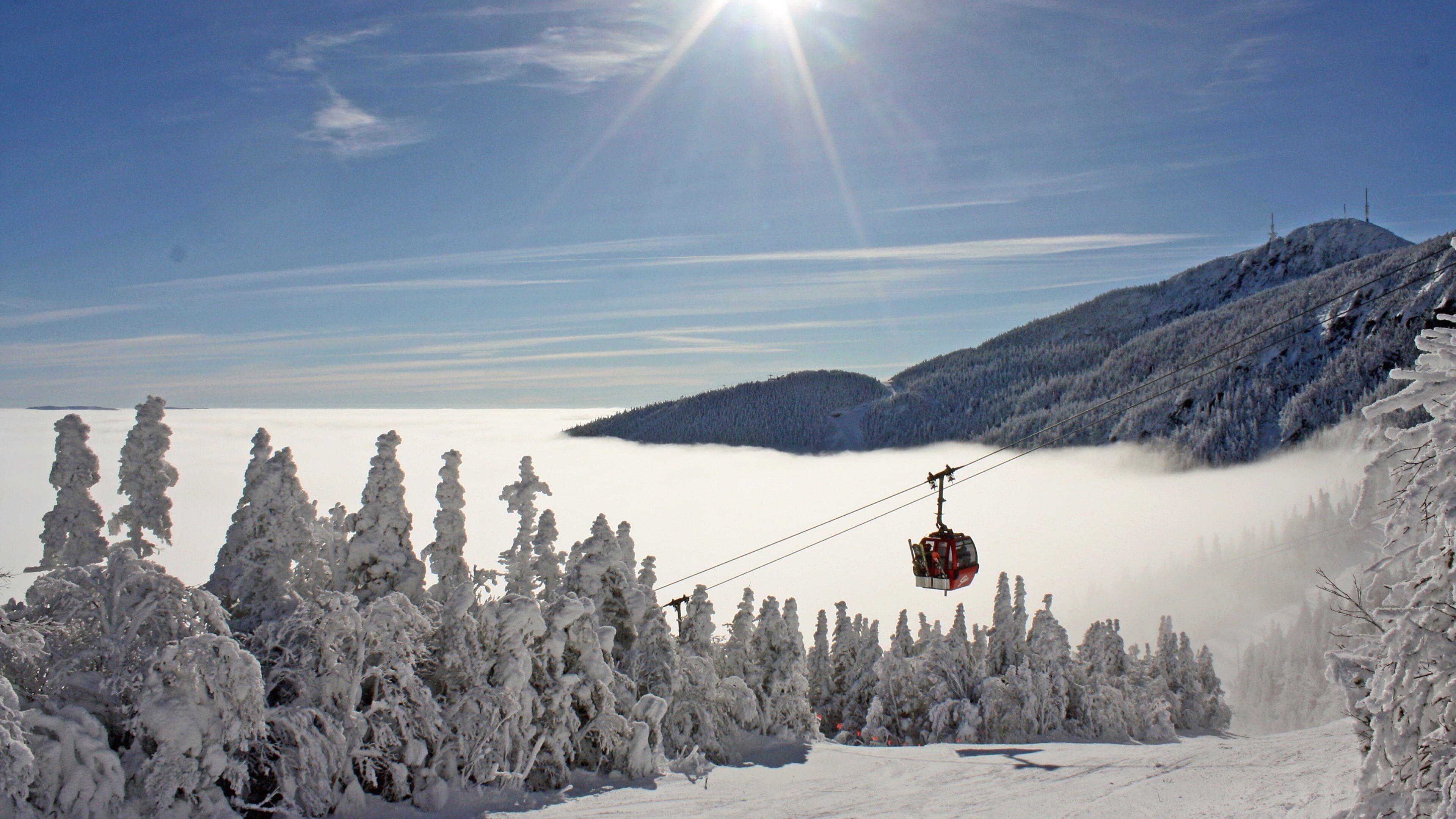 Stowe Mountain Resort showing snow, forests and a gondola