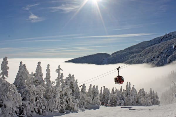 Stowe Mountain Resort showing snow, forests and a gondola