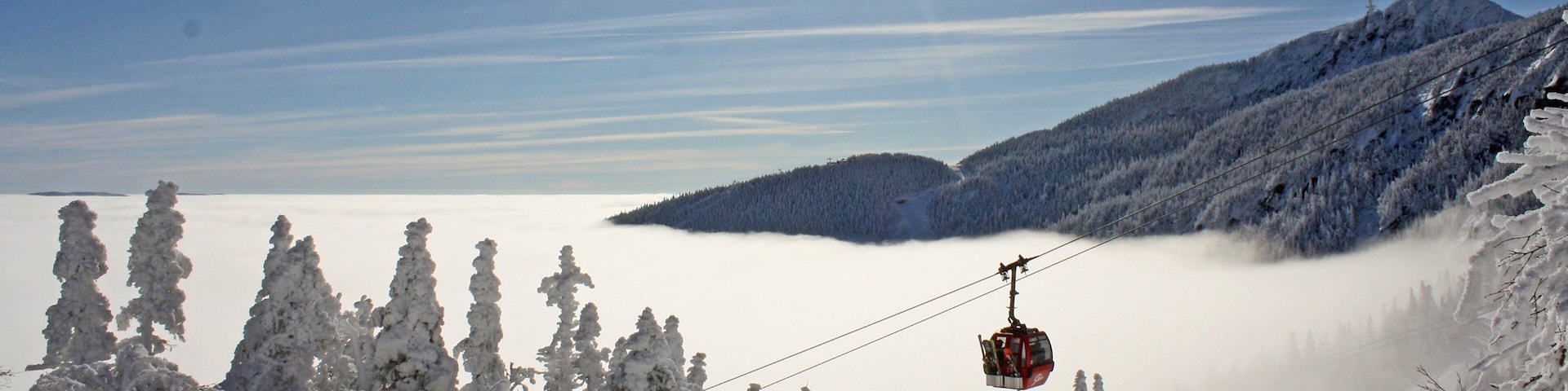 Stowe Mountain Resort showing snow, forests and a gondola