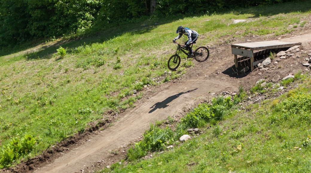 Mount Snow showing mountain biking as well as an individual male