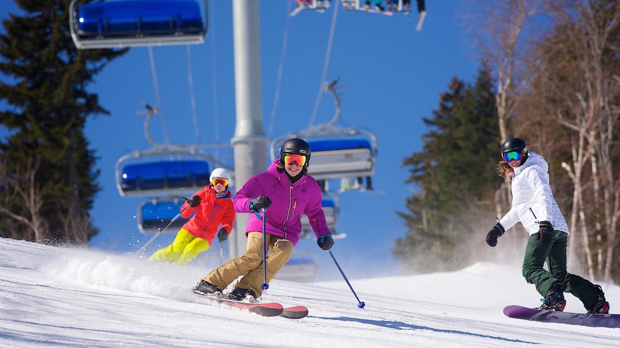 Mount Snow which includes a gondola, snow skiing and snow