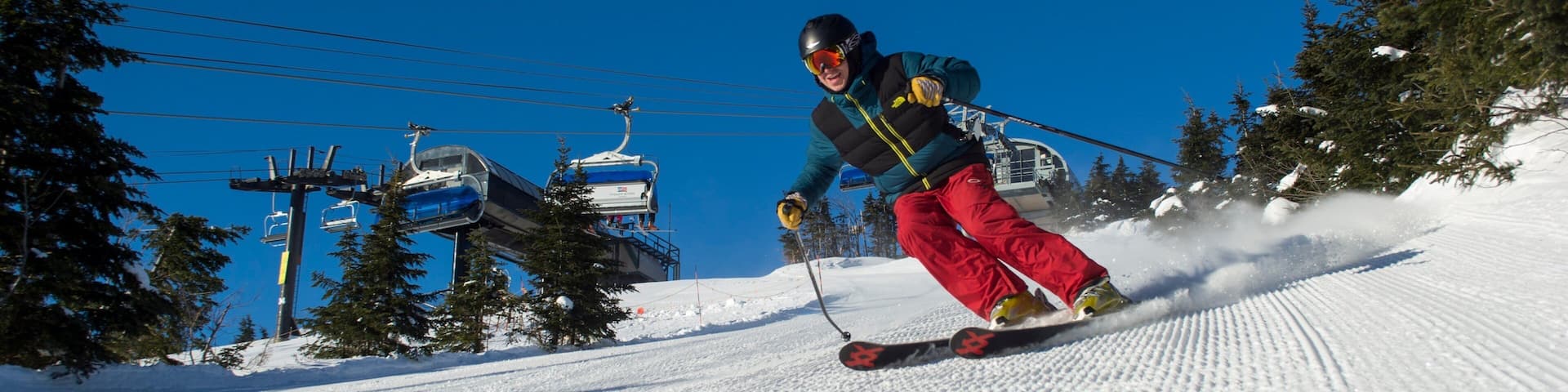 Mont Snow qui includes neige, ski et gondole