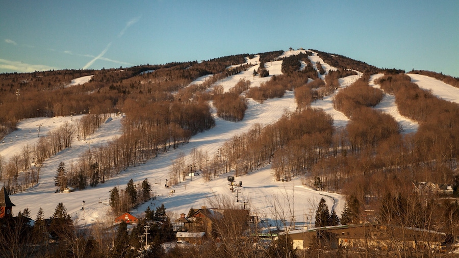 Mount Snow which includes forest scenes and snow