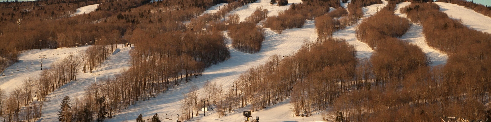Mount Snow which includes forest scenes and snow