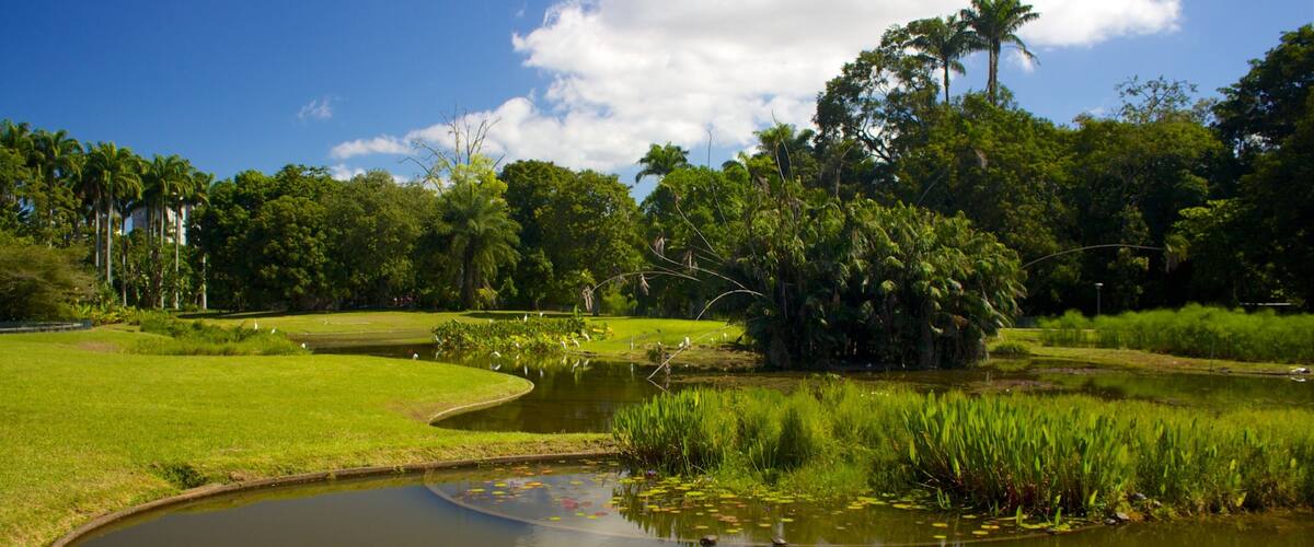 East Park showing a pond and a garden