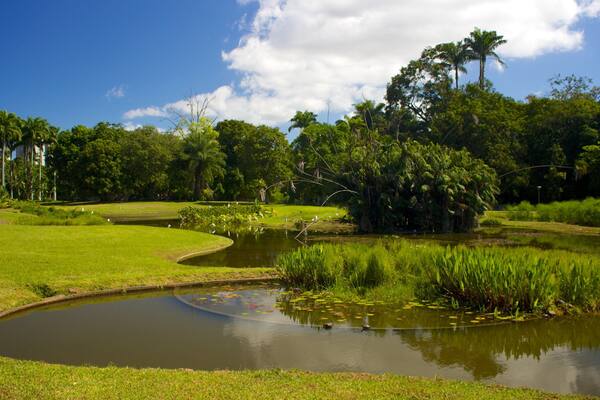 East Park showing a pond and a garden