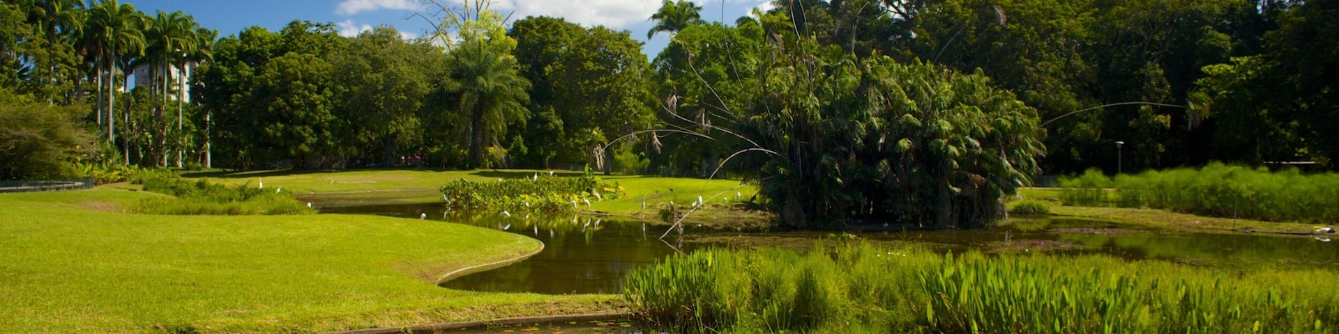 East Park showing a pond and a garden