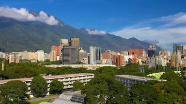 Université centrale du Venezuela montrant ville