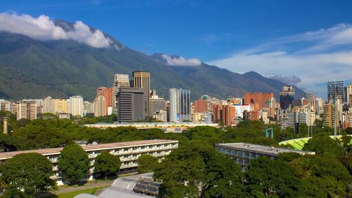 Central University of Venezuela which includes a city