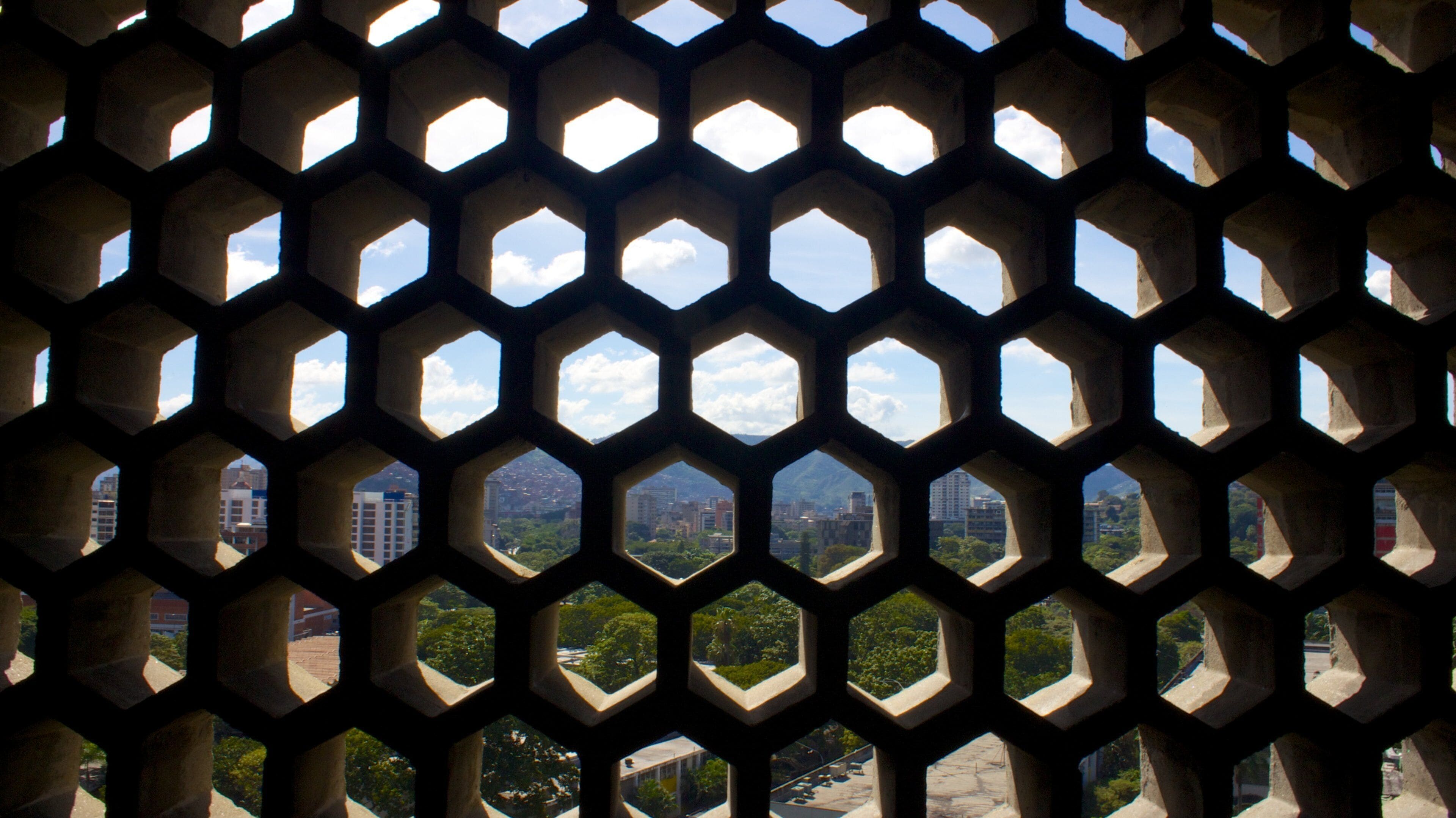 Central University of Venezuela which includes modern architecture