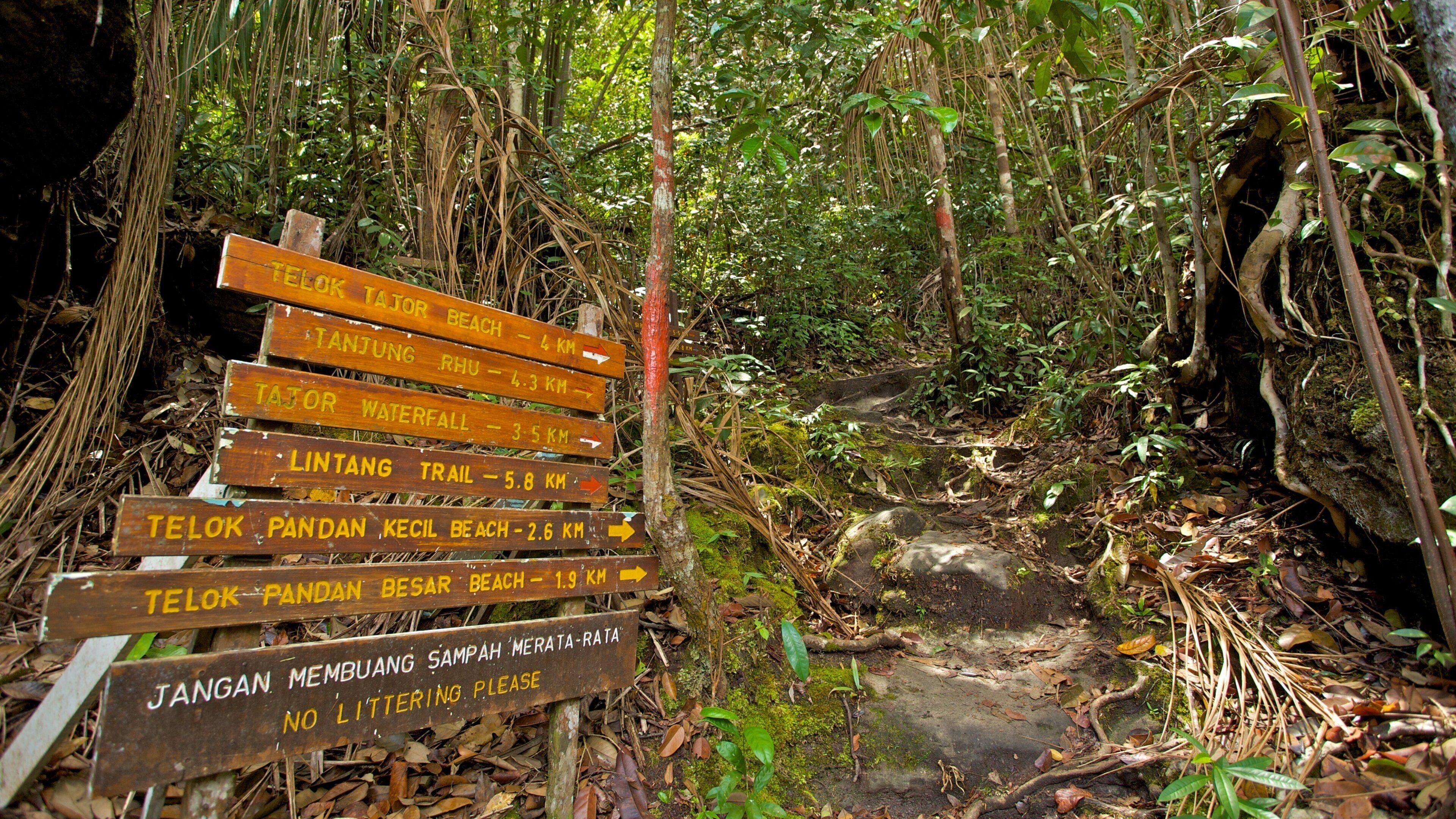 Bako National Park showing a park, forest scenes and signage