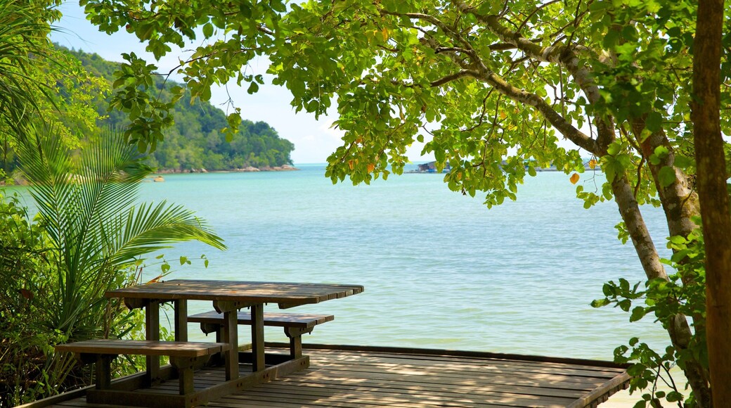 Penang National Park featuring general coastal views, tropical scenes and views