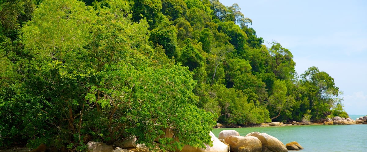 Penang National Park which includes a sandy beach, rugged coastline and forest scenes