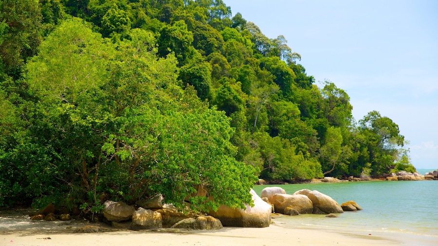Penang National Park featuring forests, rugged coastline and a beach