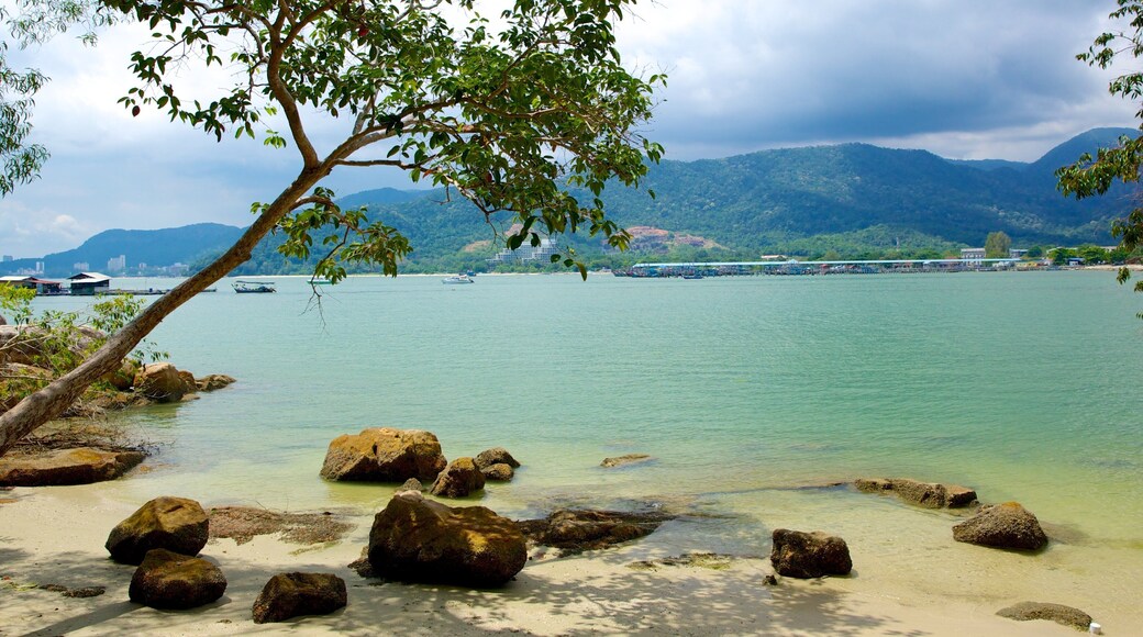 Penang National Park which includes tropical scenes, a sandy beach and a bay or harbour