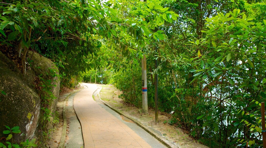 Penang National Park which includes a garden