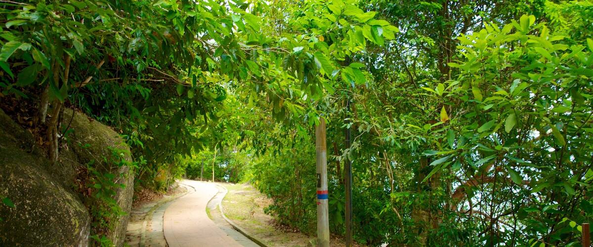 Parc National de Penang mettant en vedette jardin