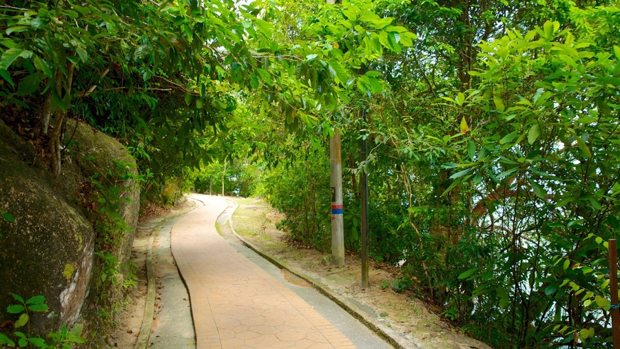 Parque Nacional de Penang caracterizando um jardim