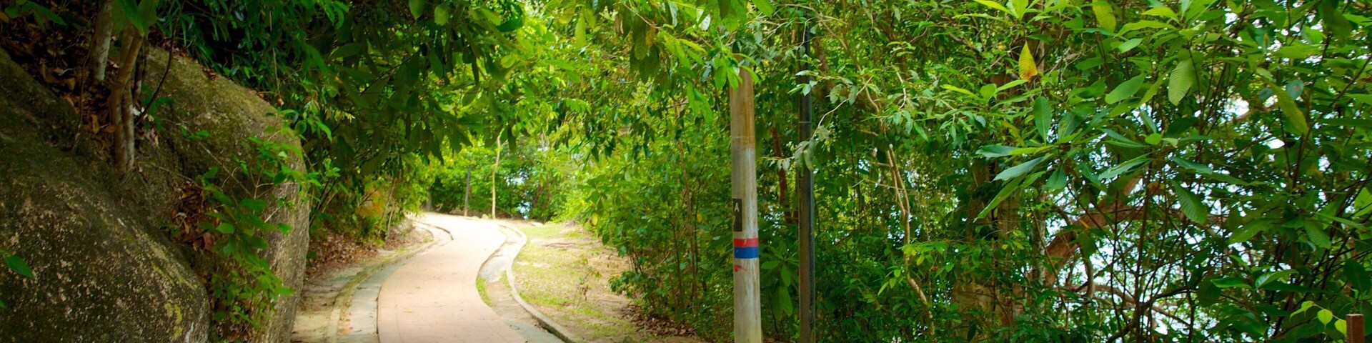 Parque Nacional de Penang caracterizando um jardim