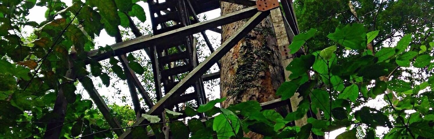 Falling down look out, Lambir Hills Malaysia.