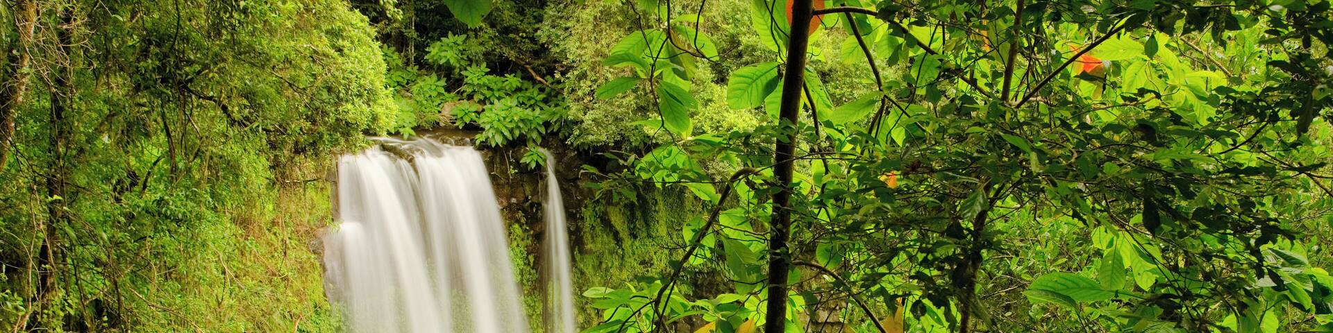 Madagascar, Montagne d ambre National Park, waterfall