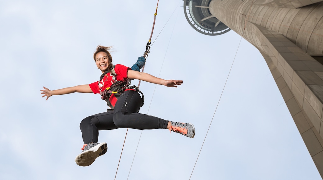 Macau Tower which includes bungee jumping as well as an individual femail