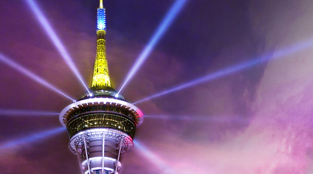 Macau Tower which includes night scenes