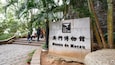 A stone sign with Chinese characters and the words "Museu de Macau" indicating a museum.