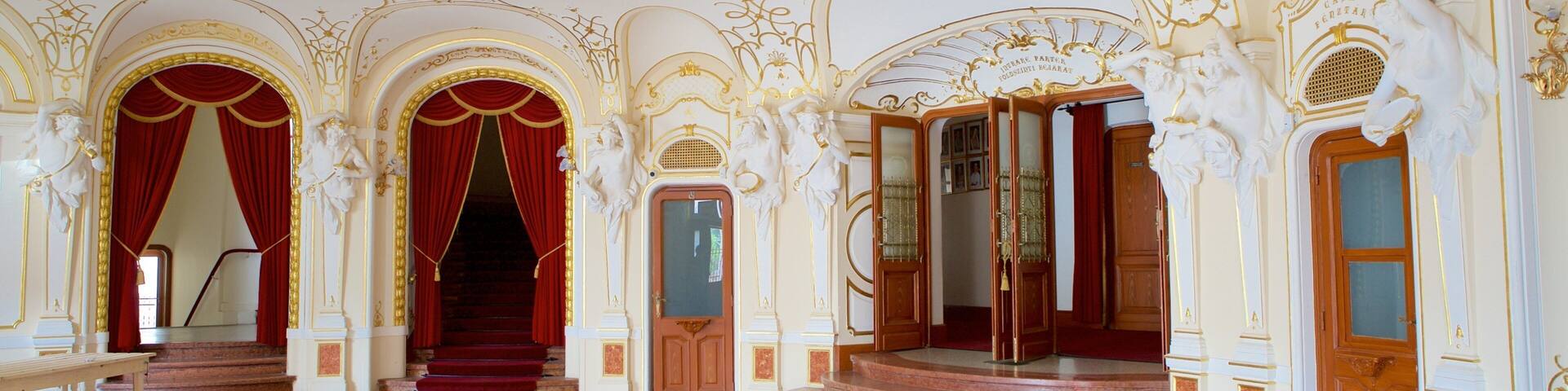 Teatrul de Stat som inkluderar teaterscener, interiörer och historisk arkitektur