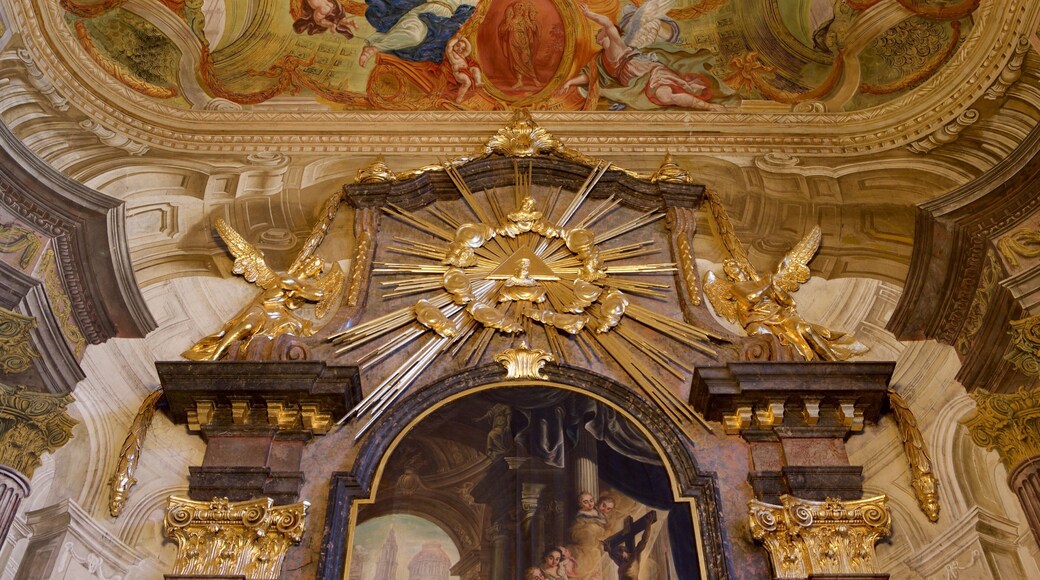 Barokpaleis toont kasteel of paleis, historische architectuur en interieur