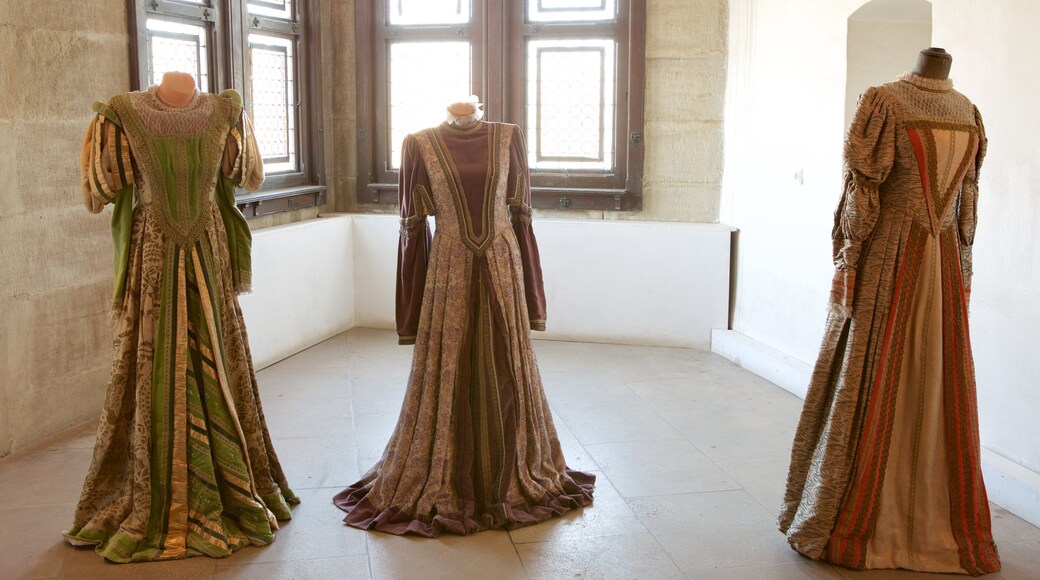 Hunedoara Castle which includes heritage elements and interior views