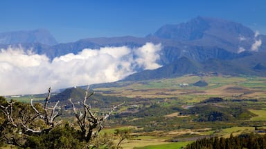 Piton de la Fournaise mettant en vedette scĂšnes tranquilles et panoramas