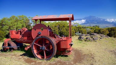 Piton de la Fournaise showing tranquil scenes
