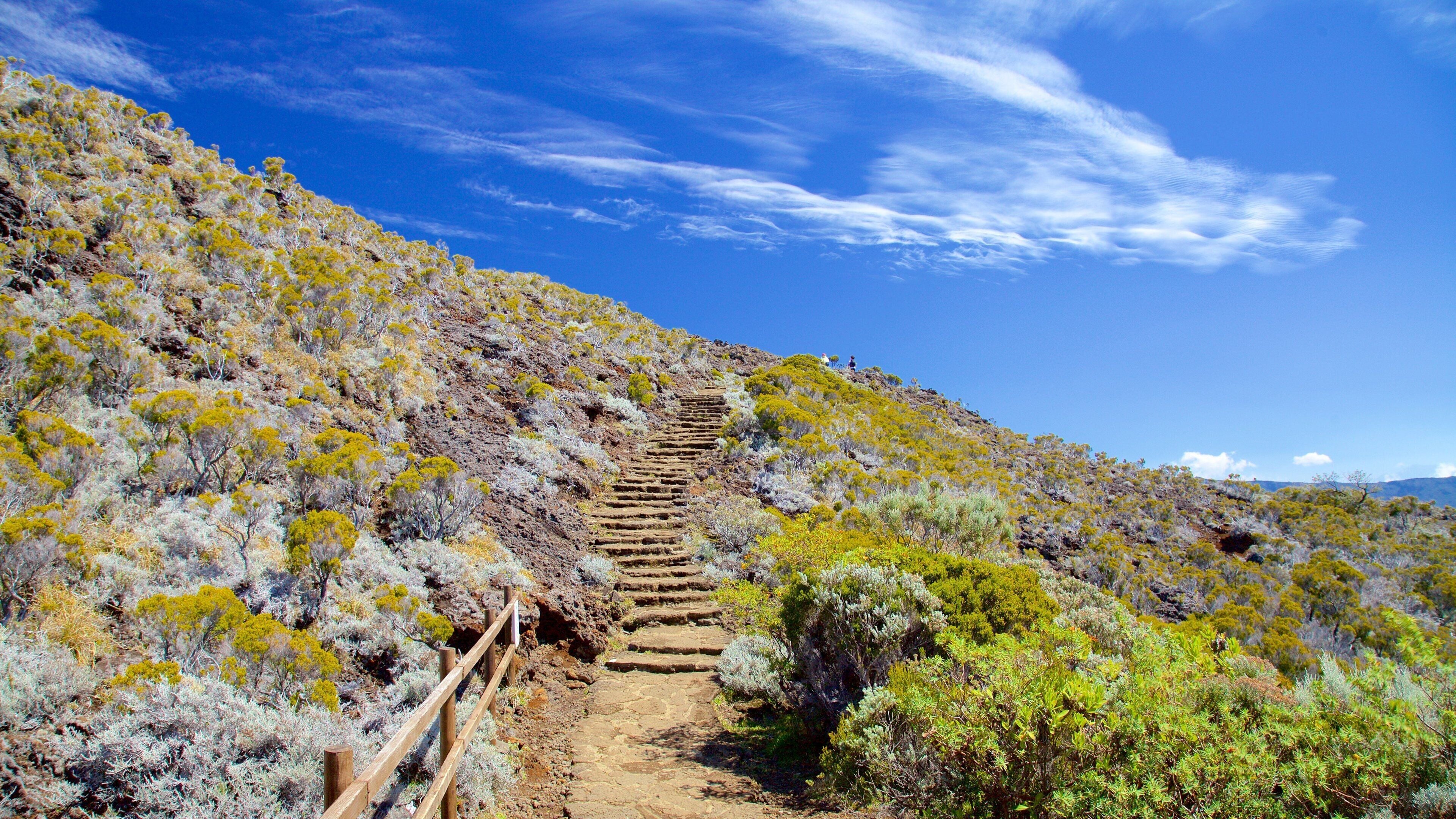A stone staircase ascending a hill with sparse vegetation and a clear blue sky.