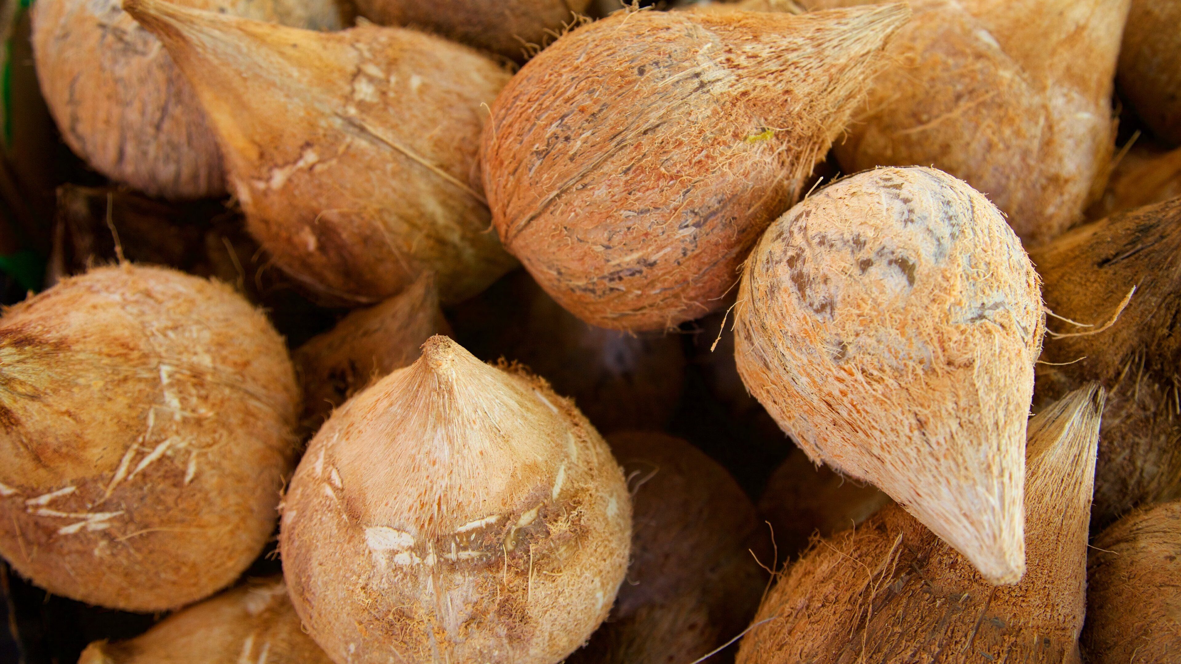 Reunion featuring food