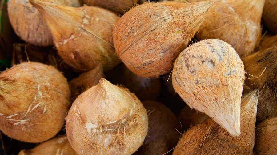 Reunión mostrando comida