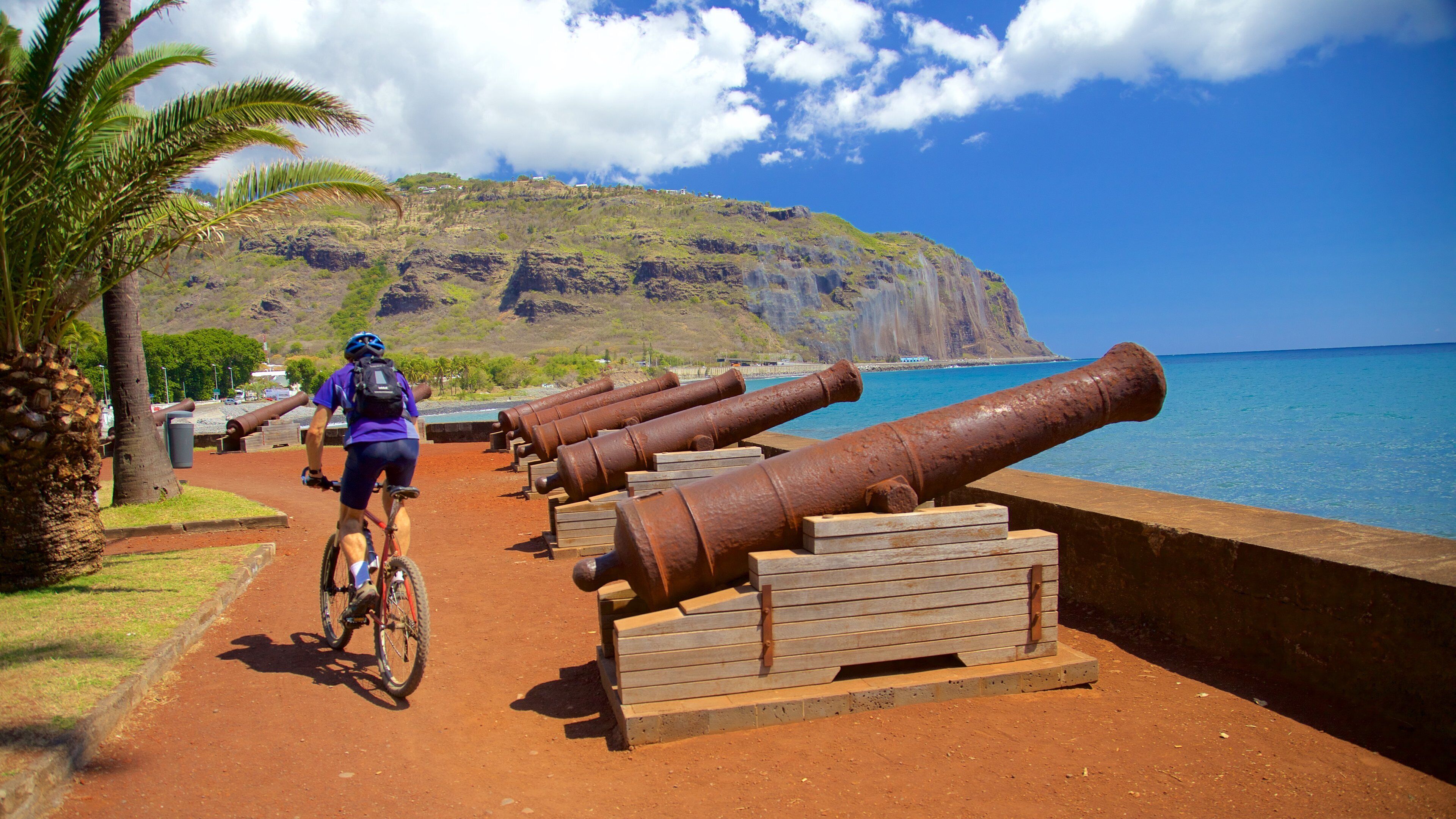 Reunion showing general coastal views, cycling and heritage elements