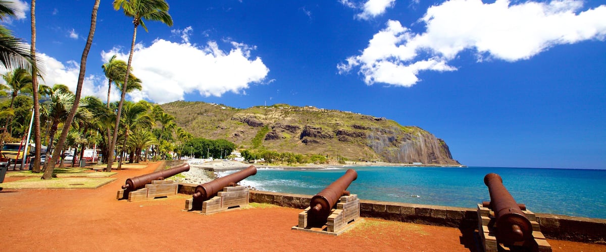 A coastal area with palm trees, a sandy beach, and three cannons.