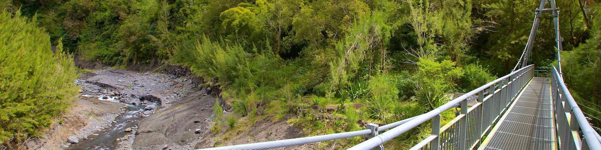 Reunión que incluye un puente, un río o arroyo y paisajes forestales