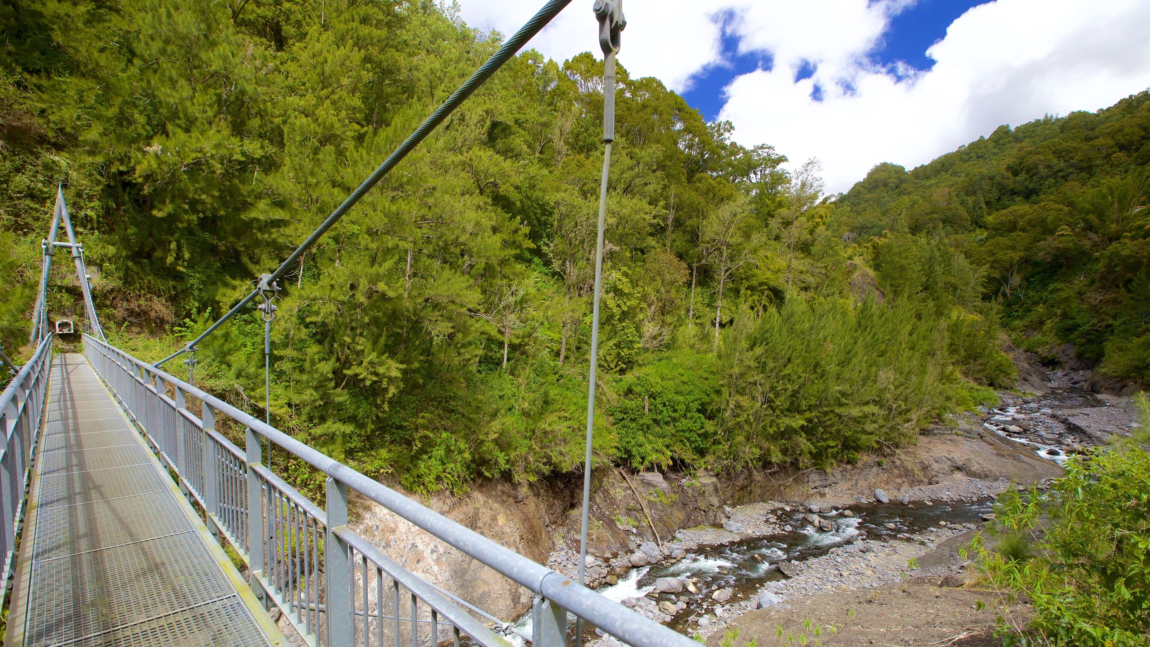 Bridal Veil Falls showing a bridge, a river or creek and forest scenes