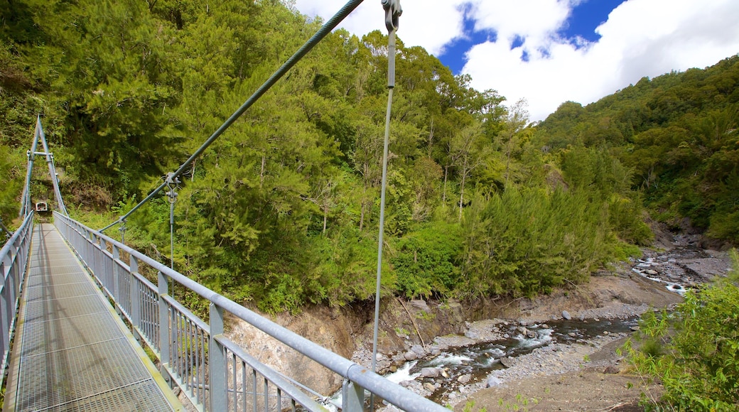 Bridal Veil Falls showing a bridge, a river or creek and forest scenes