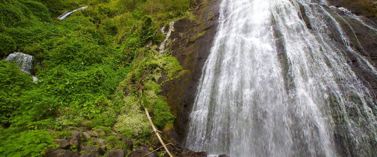 Réunion som inkluderer rolig landskap og fossefall
