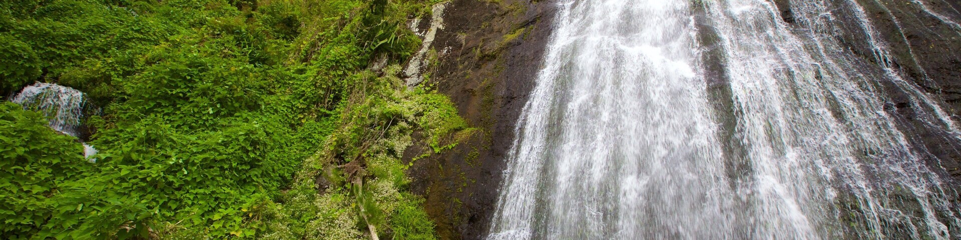 Reunion which includes tranquil scenes and a cascade