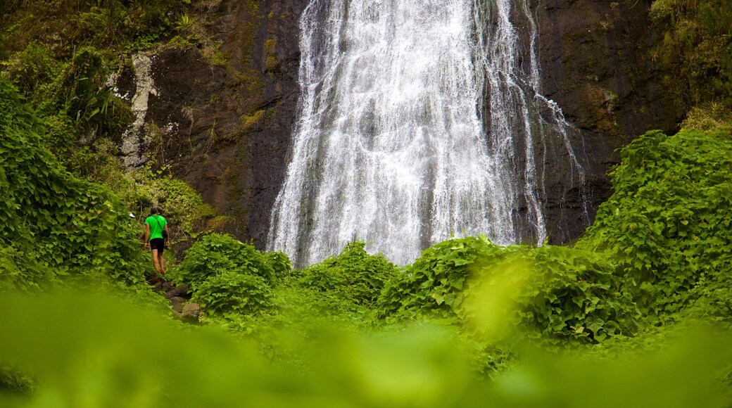 Reunion showing tranquil scenes and a waterfall