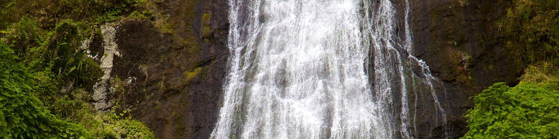 La Réunion qui includes cascade et scÚnes tranquilles