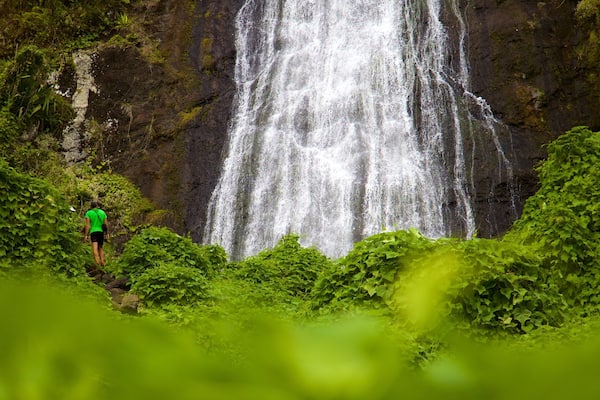 La Réunion qui includes cascade et scÚnes tranquilles