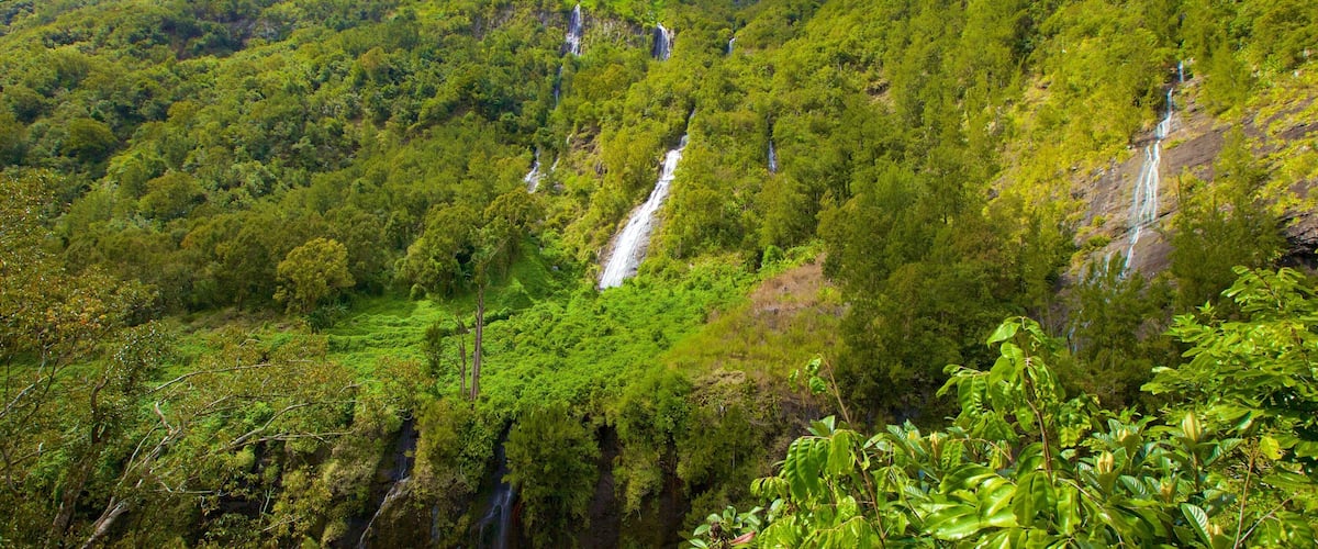 Reunion showing mountains and forests