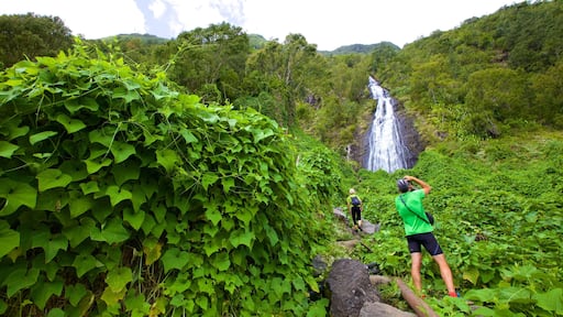 Reunion which includes a cascade and tranquil scenes as well as a small group of people