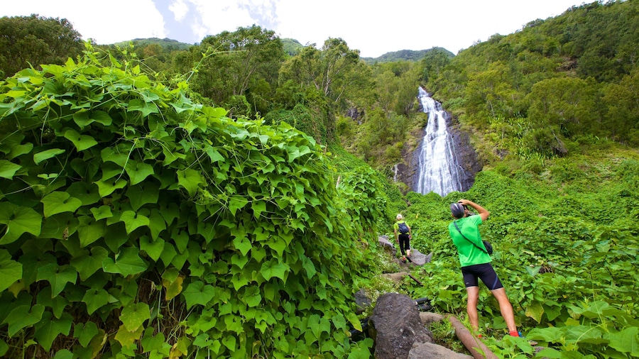 Reunion showing tranquil scenes and a waterfall as well as a small group of people