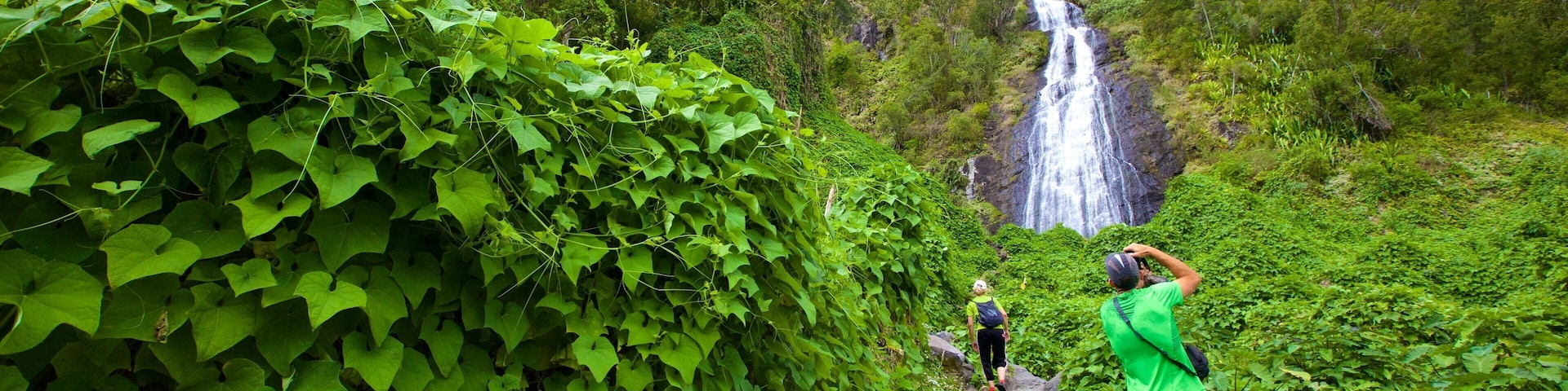 Ilha da Reunião mostrando uma cascata e cenas tranquilas assim como um pequeno grupo de pessoas